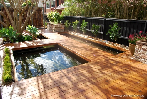 Charlie's latest Aquaponics systems (and a course next ...