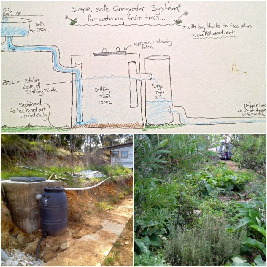 Building a Biological DIY Greywater System (With No Reedbeds) - Milkwood:  permaculture courses, skills + stories