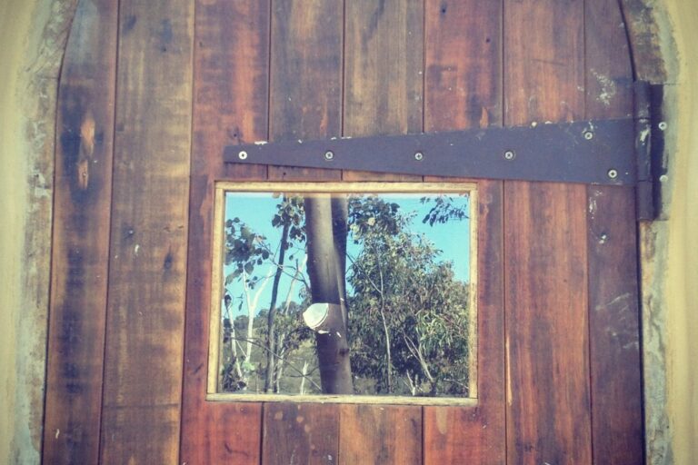 dome door1
