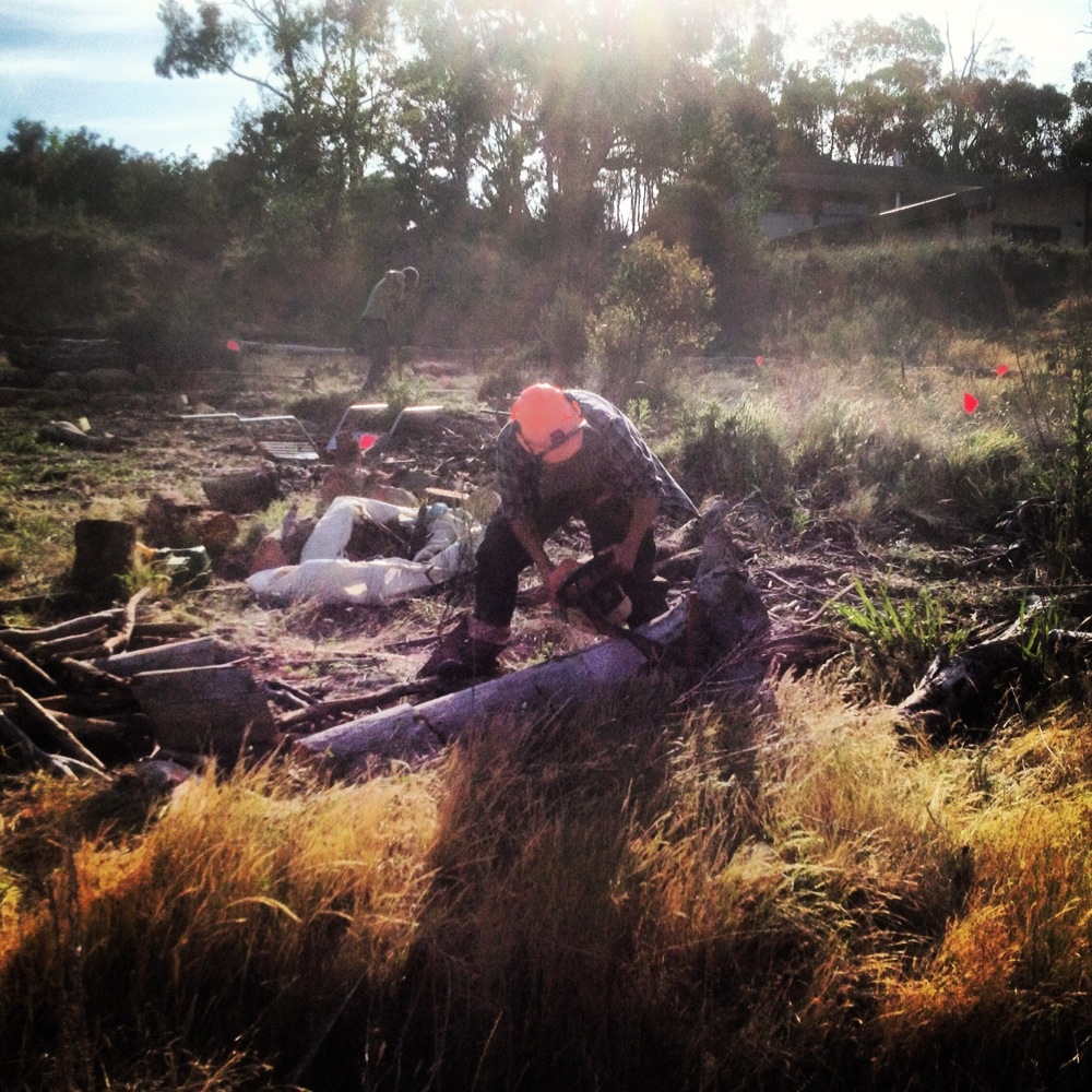 milkwood week 08