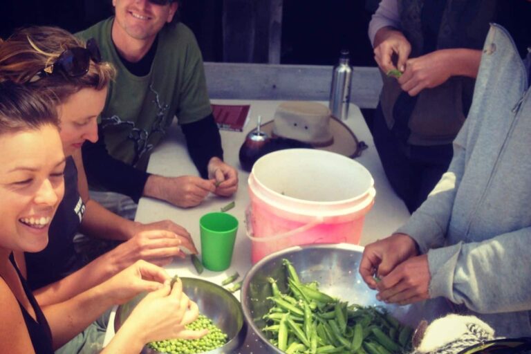 pea party_1