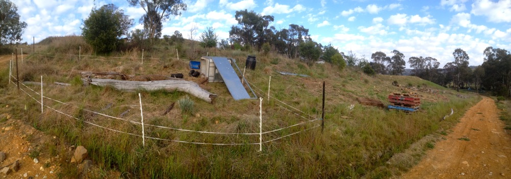 pig fence_17