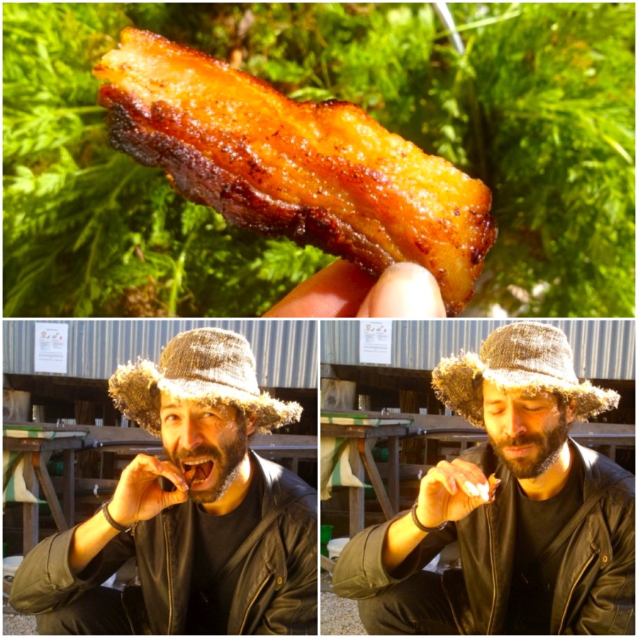 bacon 14