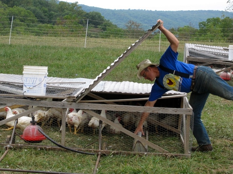 Joel Salatin's broiler pens at Polyface Farm. Hmm just a litle bit different from ours...