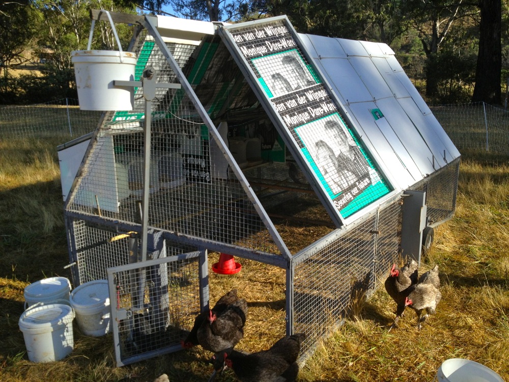 Chicken door at base, human door at top (don't need to get in there much however)