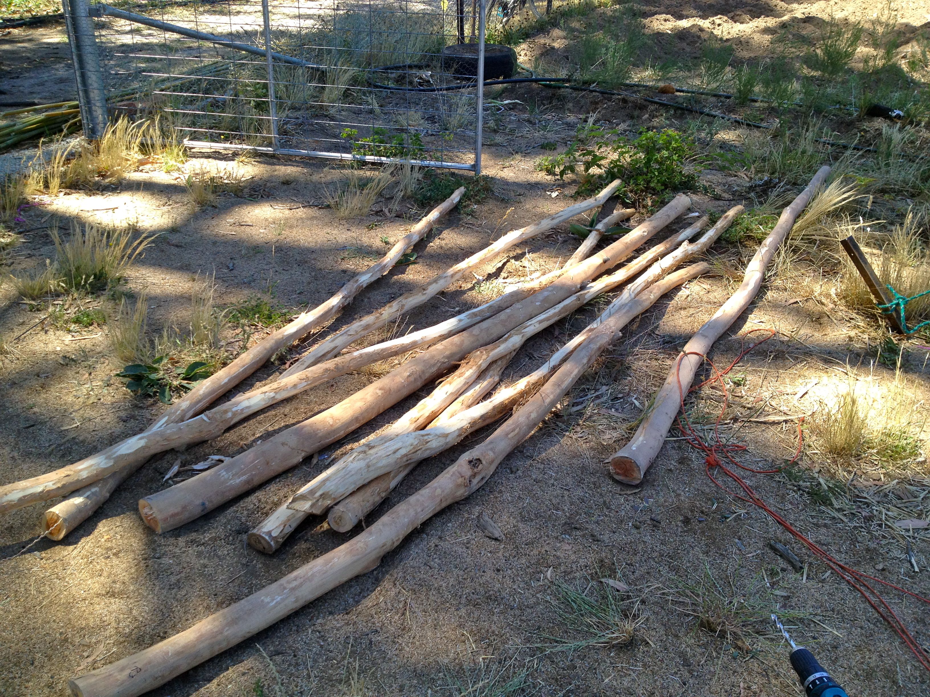 Fresh cut pole wood from our sapling forest... a little wonky but straight enough for this purpose...