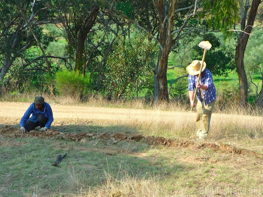 Sabina and Jurgen planting trees on rather unforgiving ground