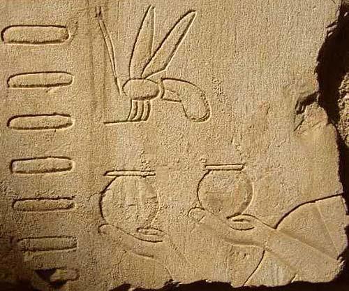 Glyphs of bees and honeypots in an Egyptian tomb