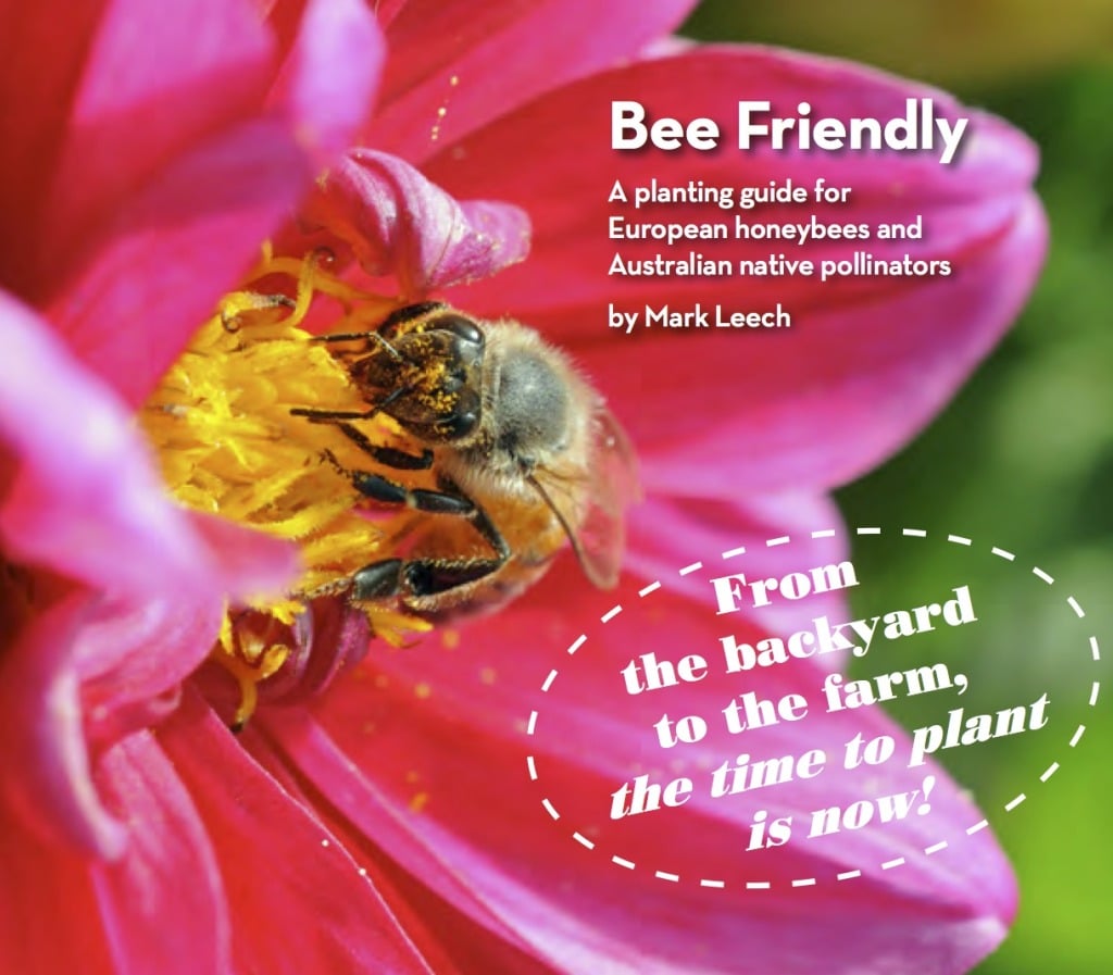 bee friendly cover cropped