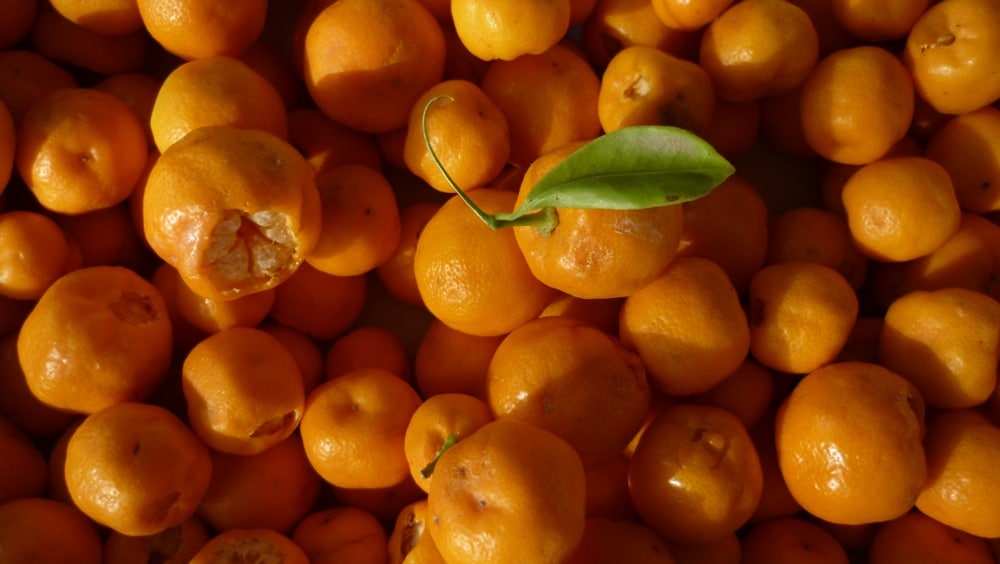 cumquats2