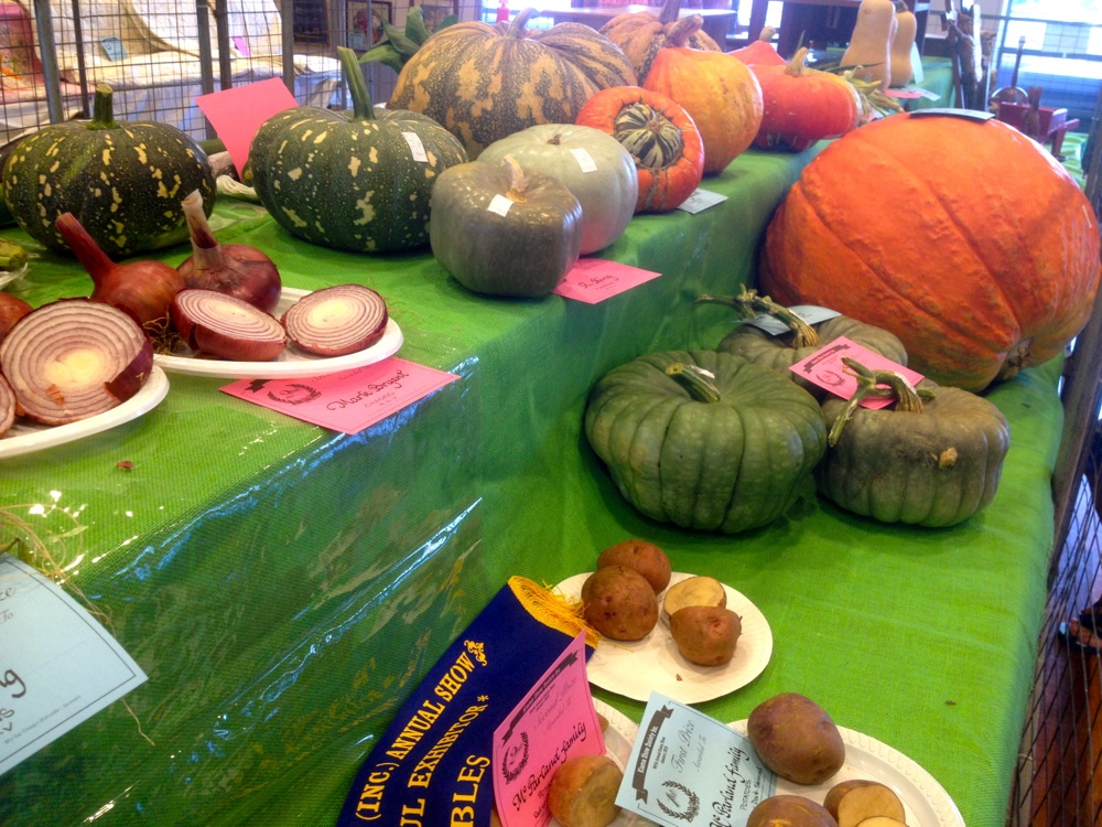 A show is not a show without its pumpkins