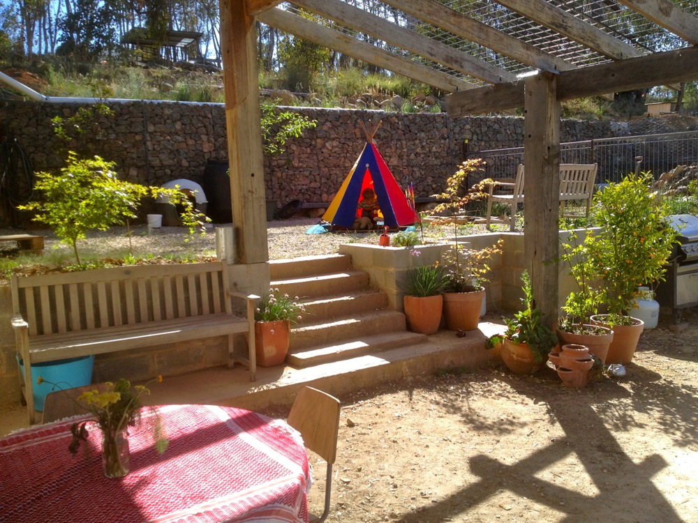 The courtyard in November, 3 months after moving in. Slowly going potty.