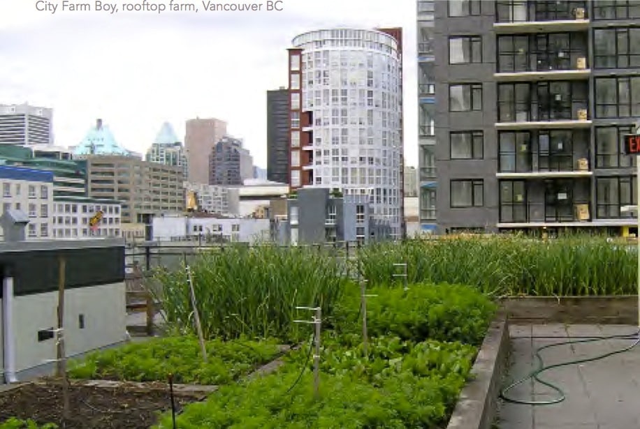 urban farming guidebook1