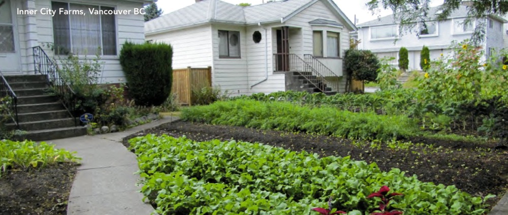 urban farming guidebook5