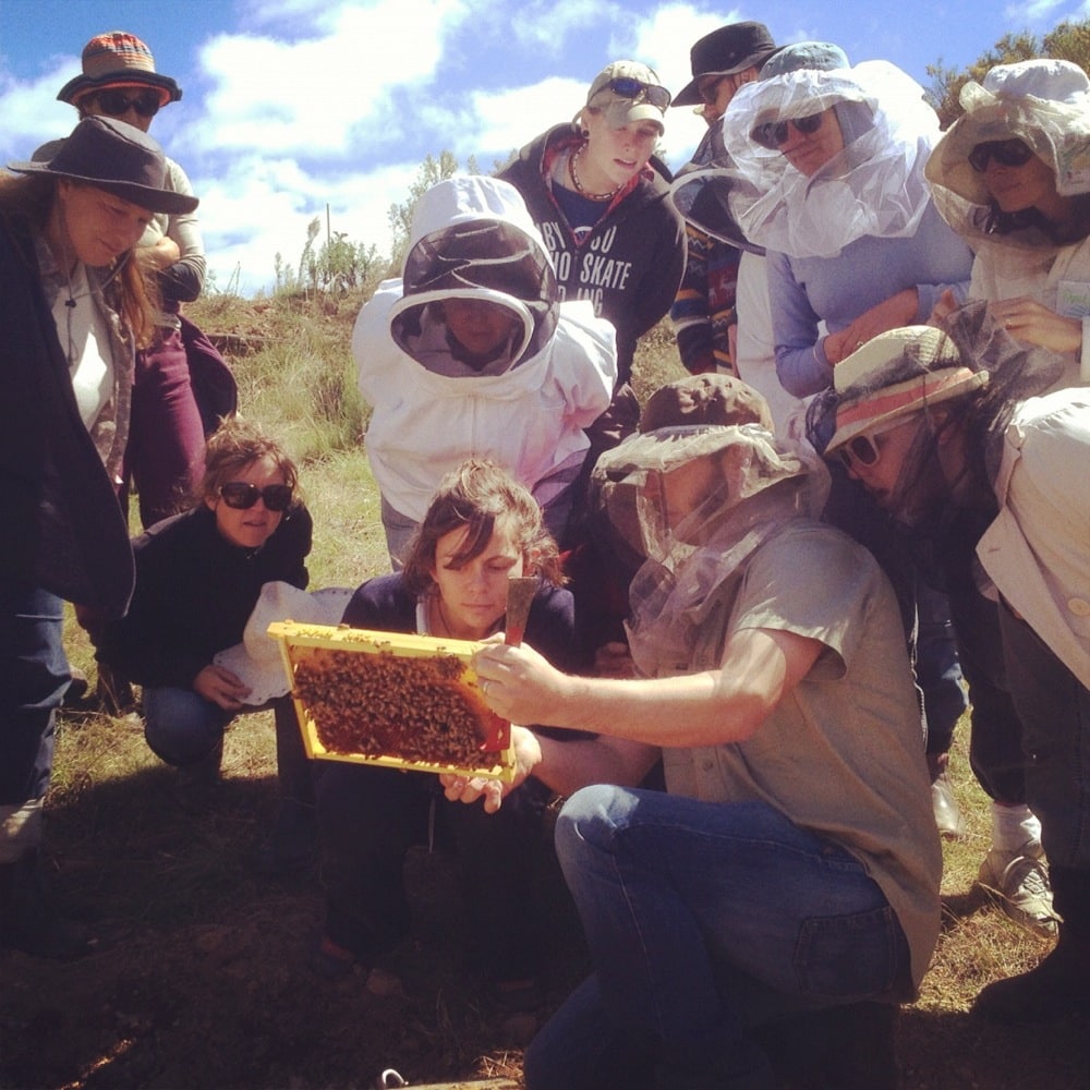 Tim Malfroy and natural beekeeping students at a Milkwood Farm course