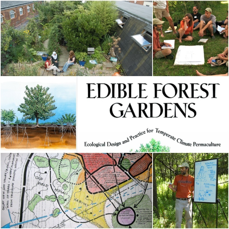 Edible Forest Gardens Author Dave Jacke Is Coming To Australia Dave Jacke10