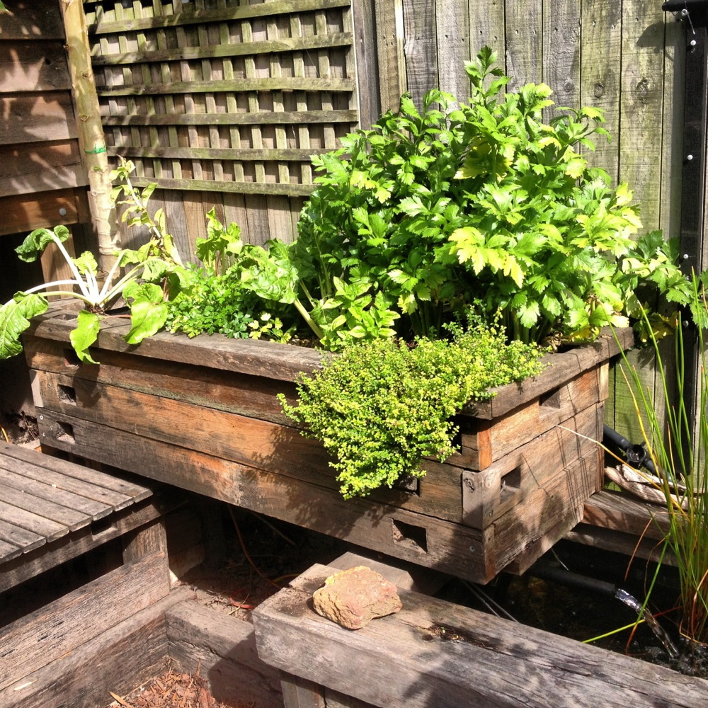 play area is a robust, family friendly, downright gorgeous aquaponics 