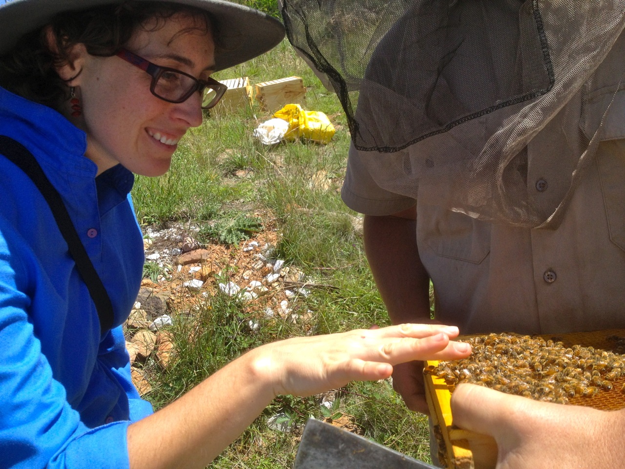 Gigi pats her first bees...