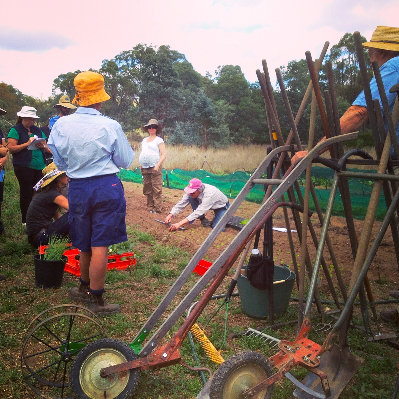 Students learning to plant, with an amazing array of micro farming hand tools in the foreground