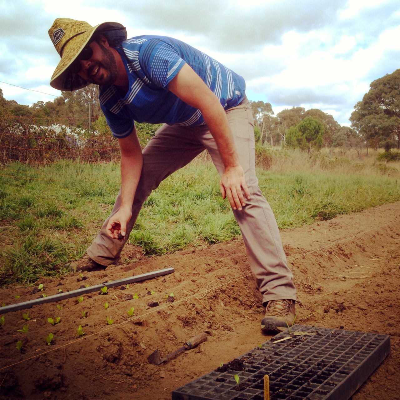 Richard (Allsun Farm intern) learning the ropes