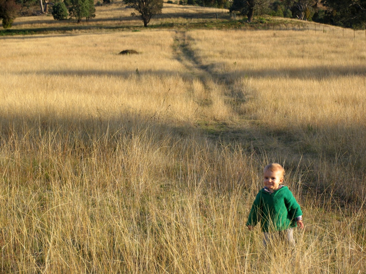 15 months old and off up the hill by himself.. bye mum.