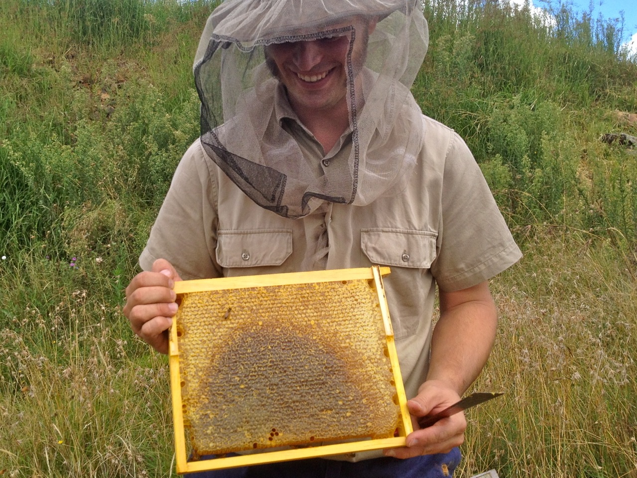 What we'd prefer to see at this point in the season - full frames of honeycomb. This photo is from this time last year however...