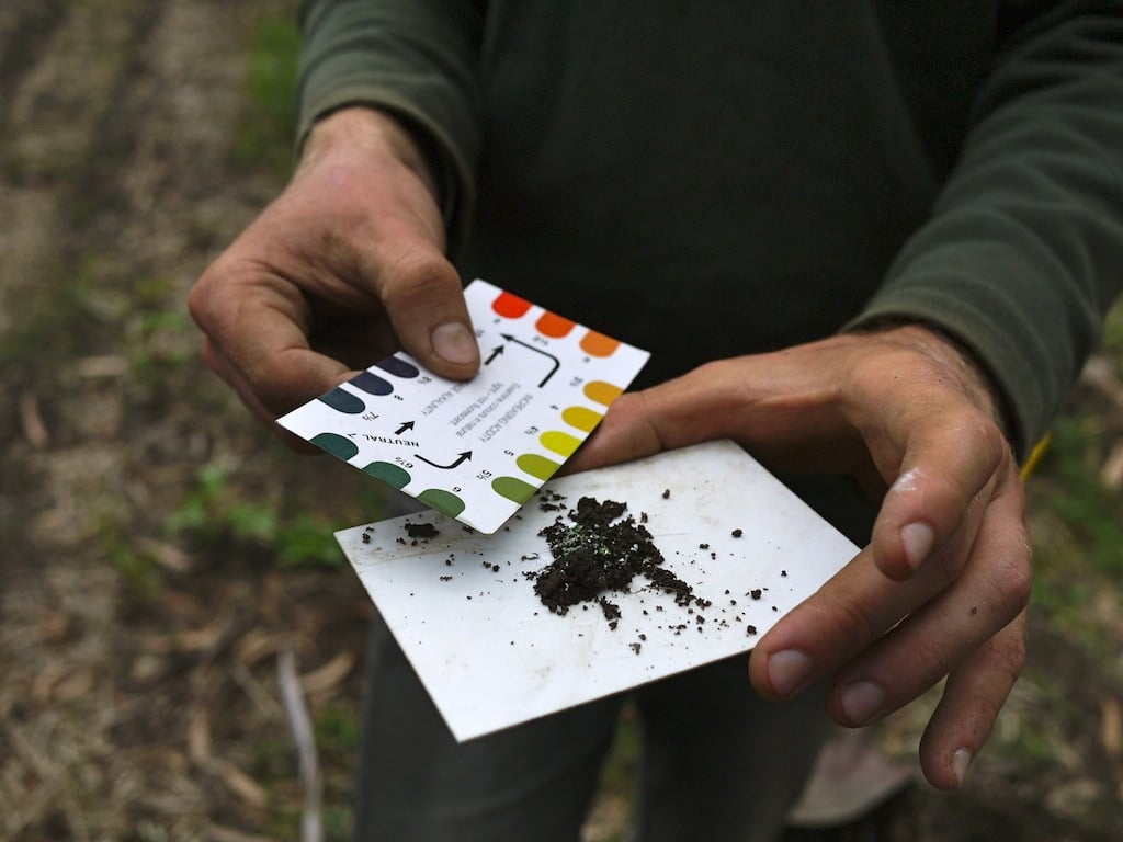 Testing the pH of the previous compost pile... all's well here...