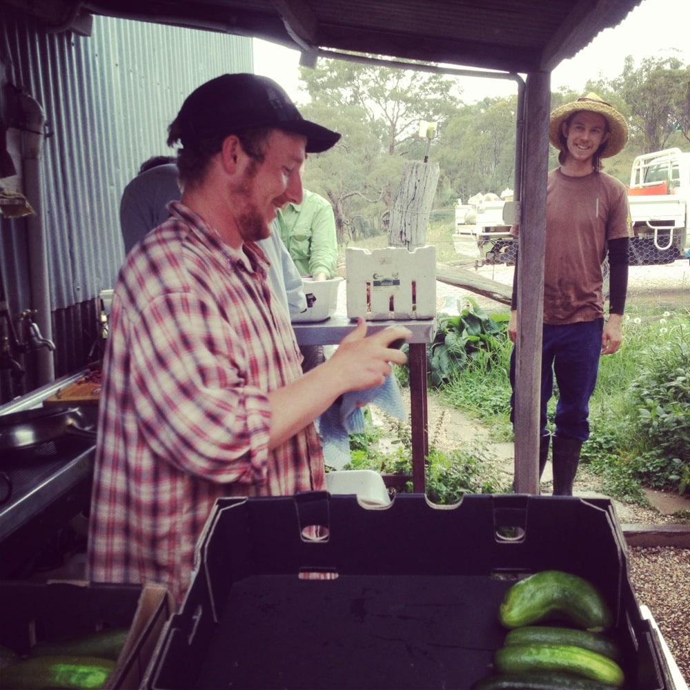 Andy cleaning cucumbers