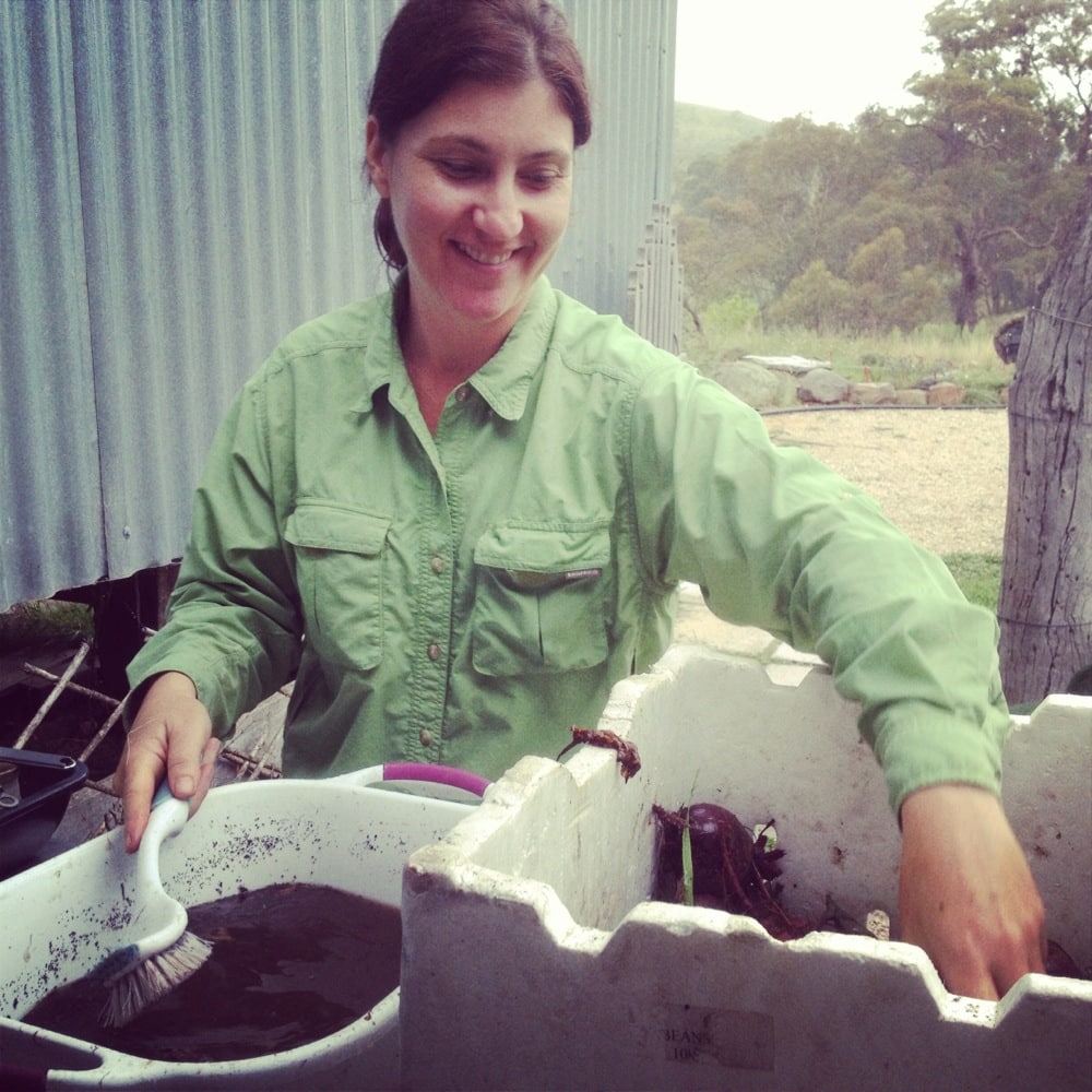 Karen scrubbing beetroots