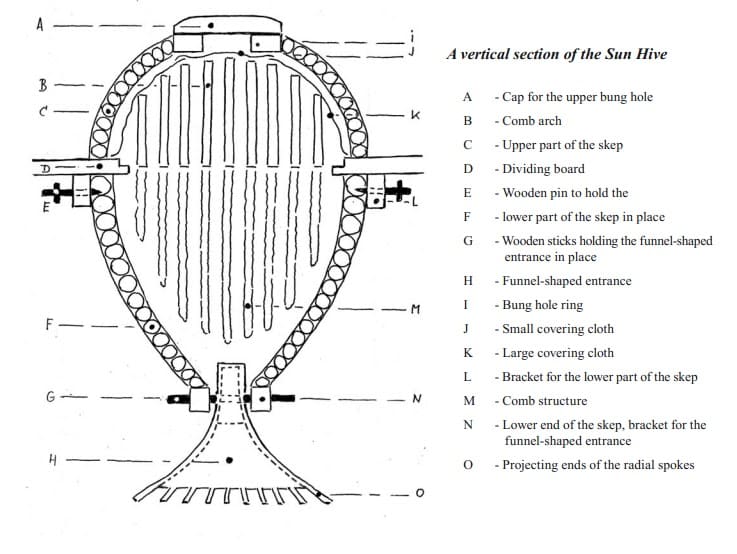 Sun Hive 1