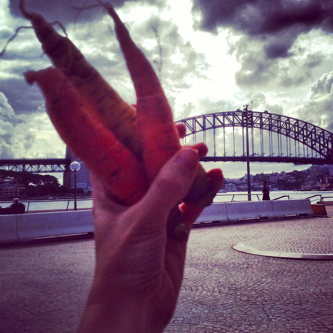 Huzzah! Carrots and potatoes duly delivered to the Sydney Opera House...