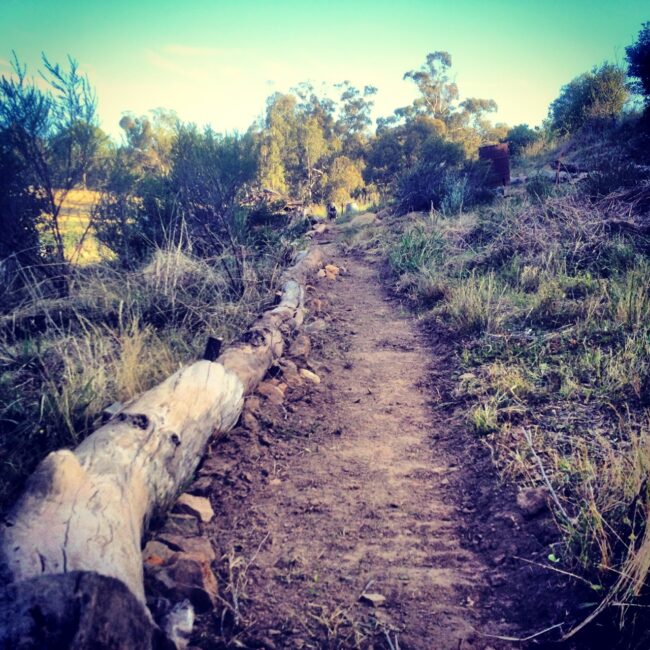 1304 holistic orchard paths – 01