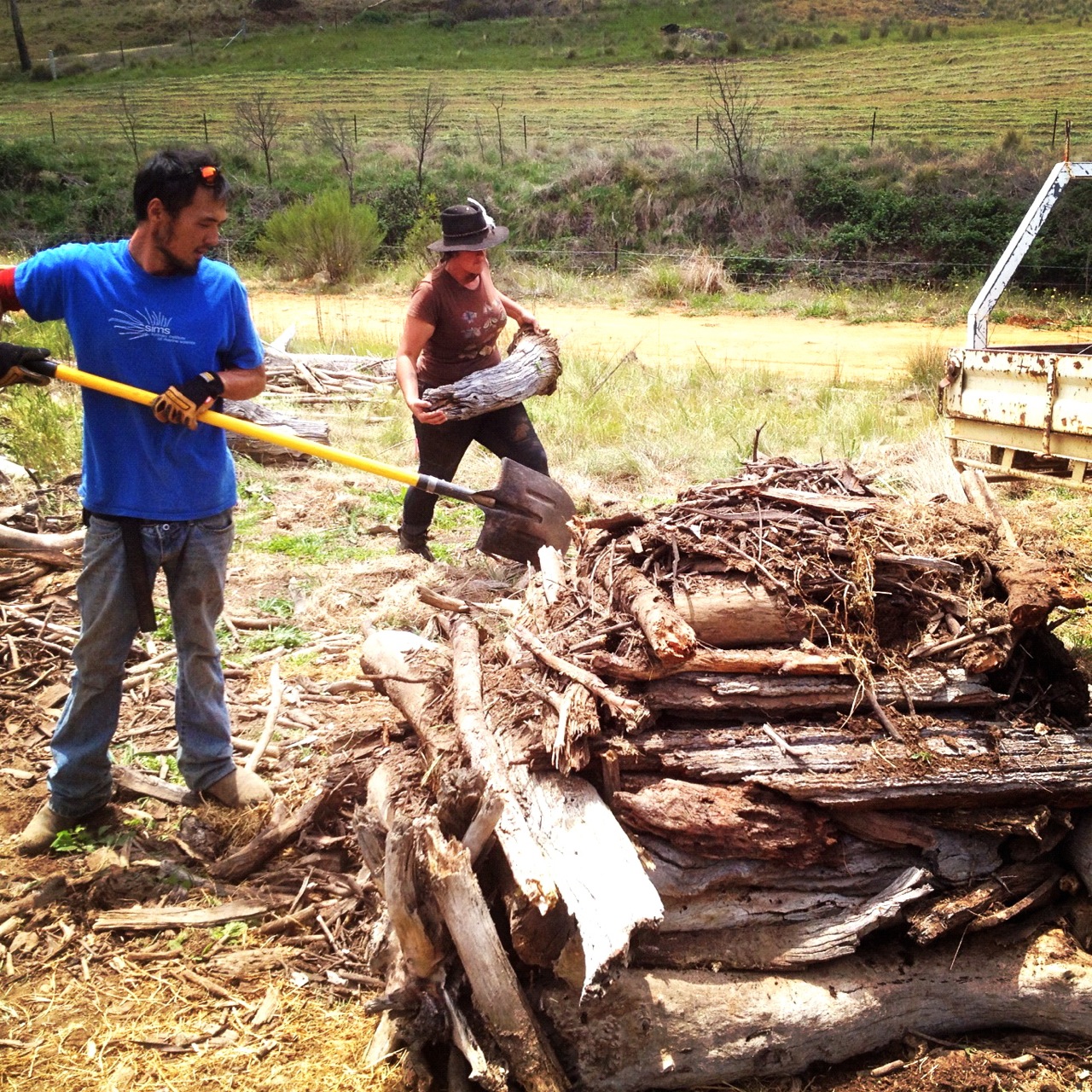 Increasing fertility with compost towers on the site (will be used for later tree planting)