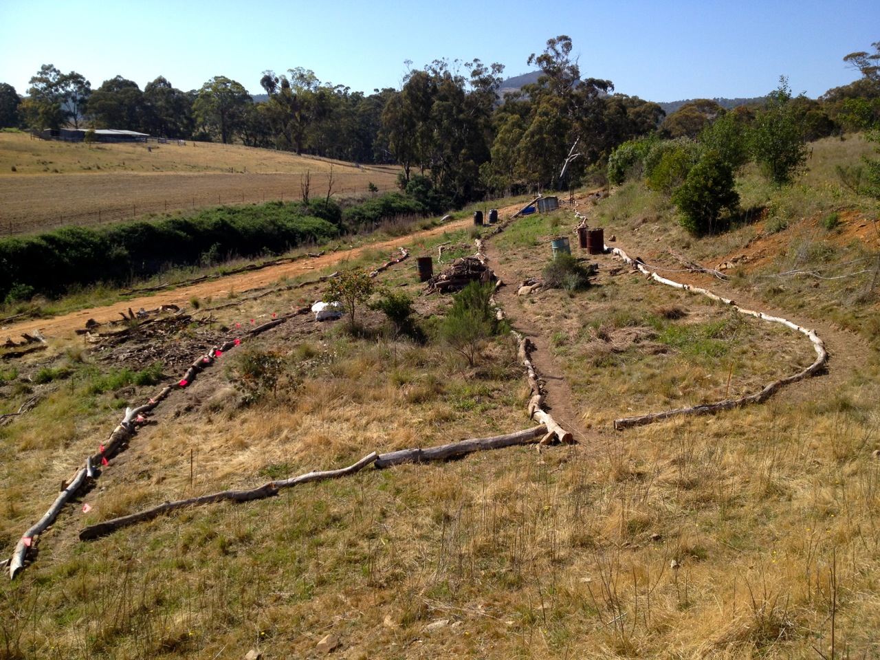 Paths defined! All dug on contour for ease of access and mini-swale capabilities