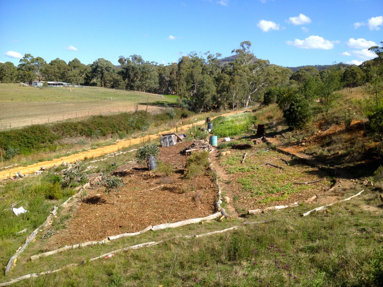 Feb 2013 - site after second pig tractor pass