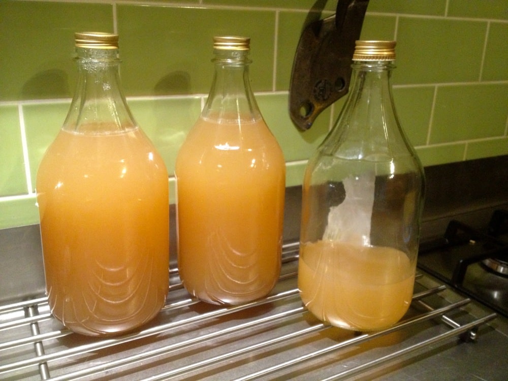 Our first run: 10 kg of apples made over 4 litres of winter apple juice. The leftover apple mush could be used to make sauce if you like