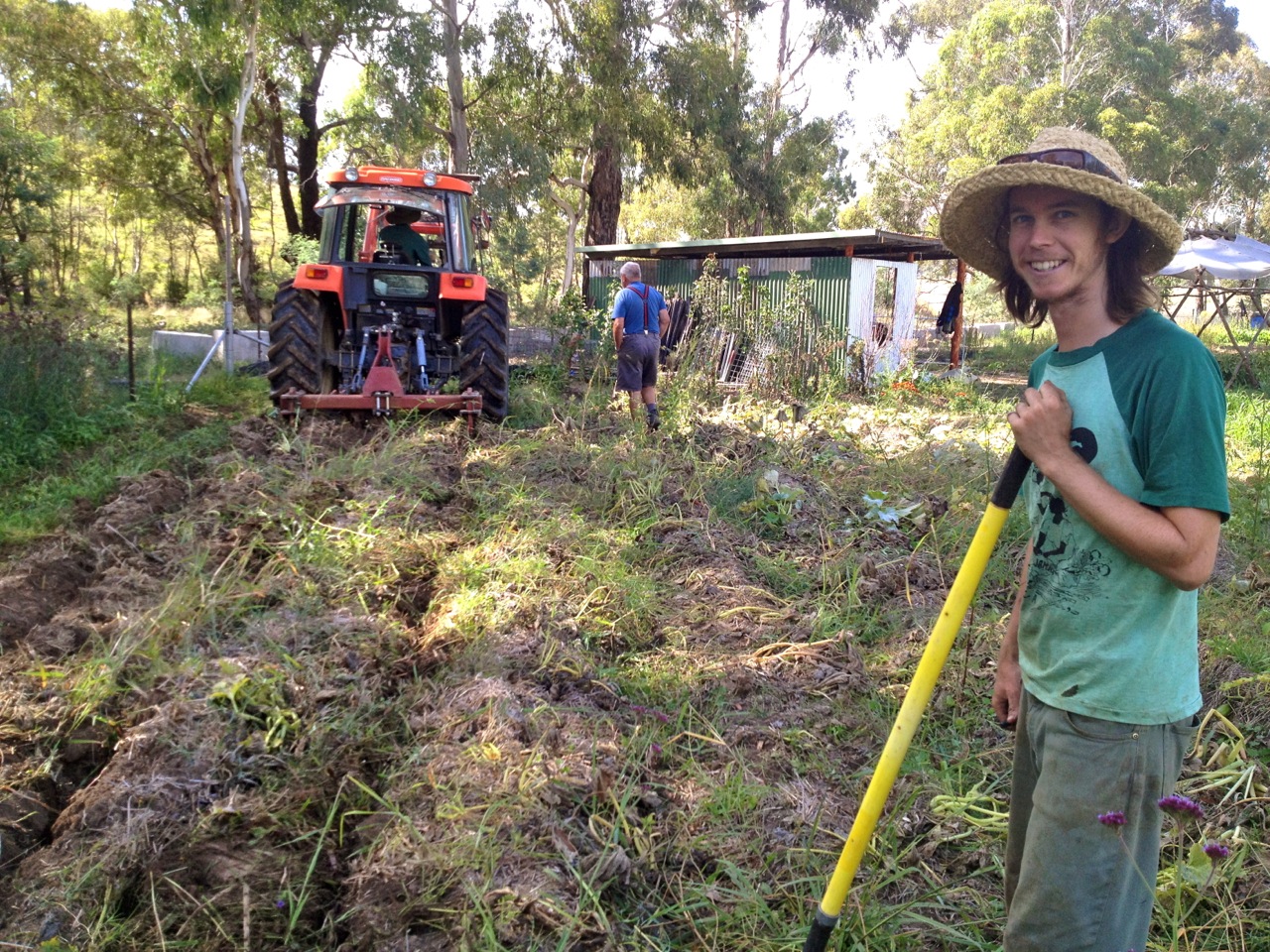 The market garden 2 days later. Somewhat different, and in the middle of being ripped. But Michael was happy...