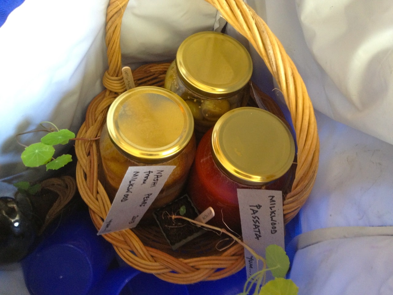 The primo swap of the day... 3 jars of Milkwood pickles for one ute. Seriously. But more on that another day (extremely stoked and thankful in the meantime on this one)