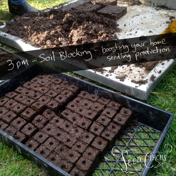 soil blocking