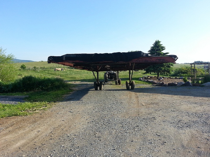 Mobile cow chelter moving to next patch - shelter ensures less-stressed cows, it's mobile nature ensures there's no overload of nutrients or buildup of parasites in the one spot