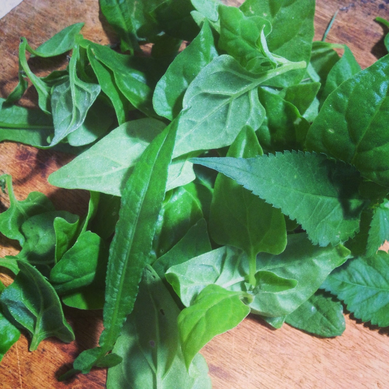 Winter weeds (warrigal greens, cobblers pegs, dock) with scrambled eggs to help the lurgy pass