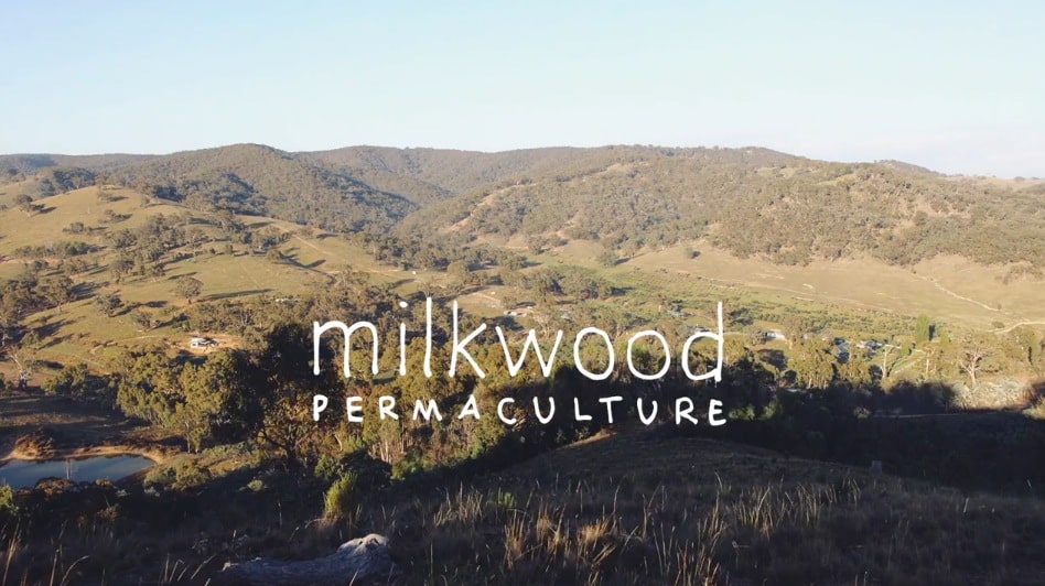 1307 milkwood vid - 24