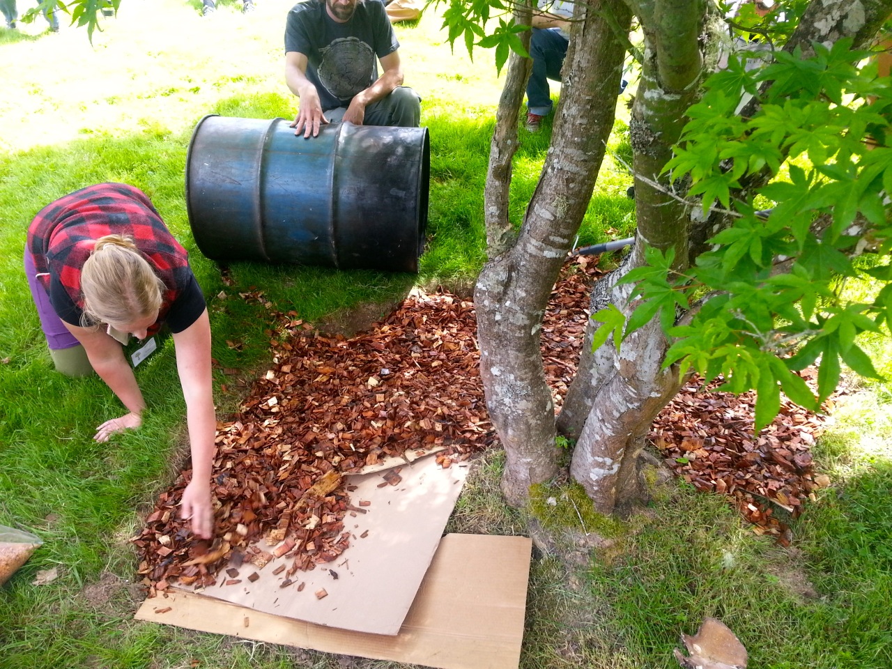 1307 mushroom garden - 06