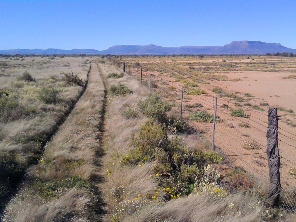 Two different cattle farms, two different practices - on the left is the property using Holistic Management, on the right is increasing desertification - in a climate with 200mm yearly rainfall, South Africa. 