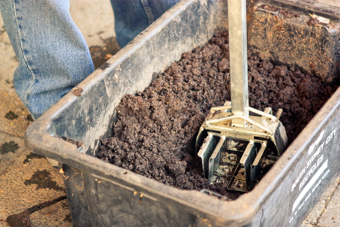 What grows better in Soil Blocks? Milkwood permaculture courses