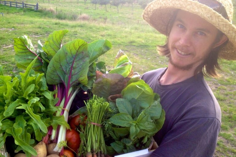 1307 grower: michael – 1