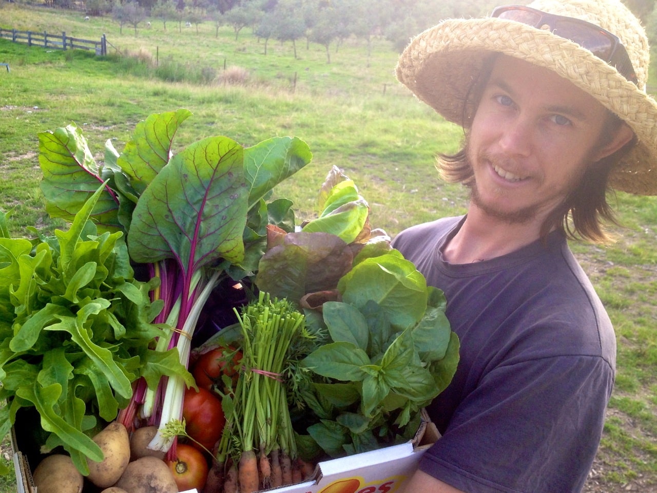 Michael Hewins with a big bunch of organic veggies