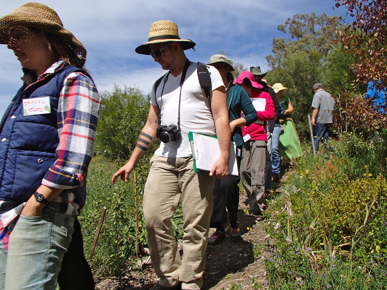 Into the emerging forest garden