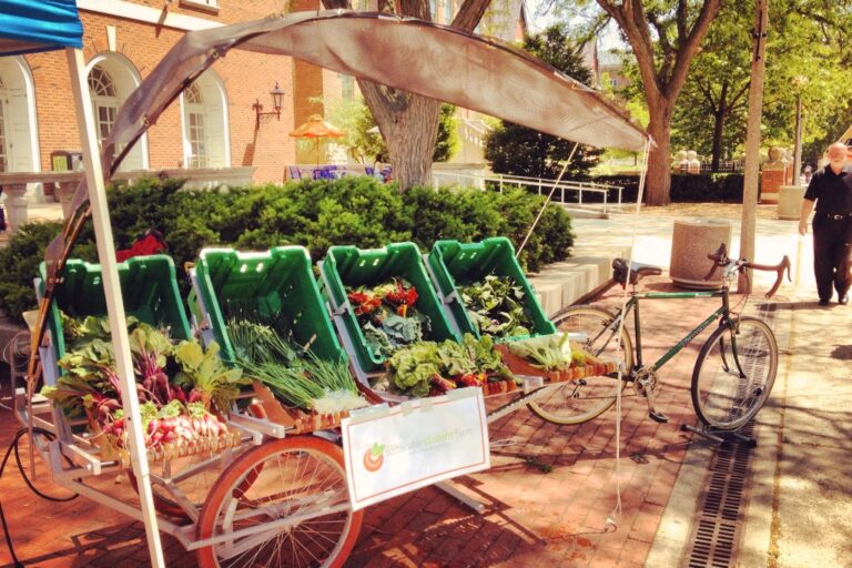 1309 folding farmstand 043