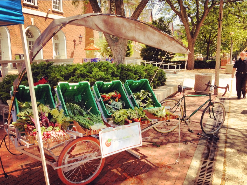 1309 folding farmstand  043